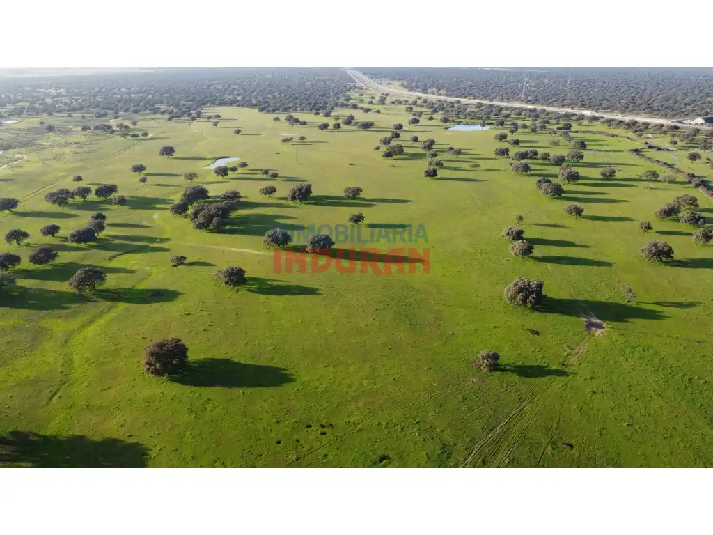 Casa o xalet en venda en Saucedilla