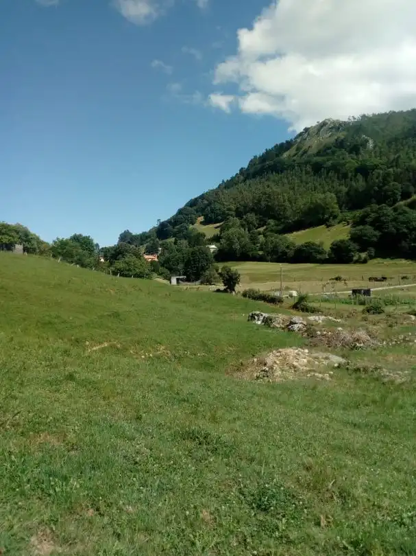 Terreni e lotti in vendita a Barrio la Cotera, imagen 18