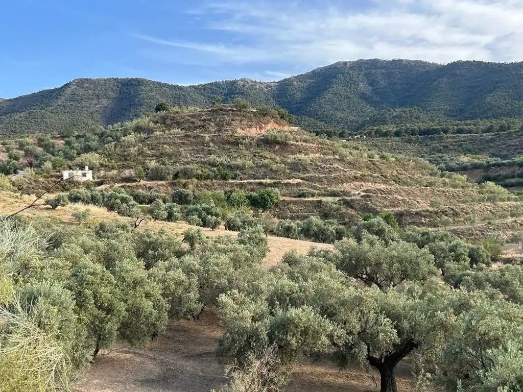 Casa rustica in vendita a El Valle, imagen 6