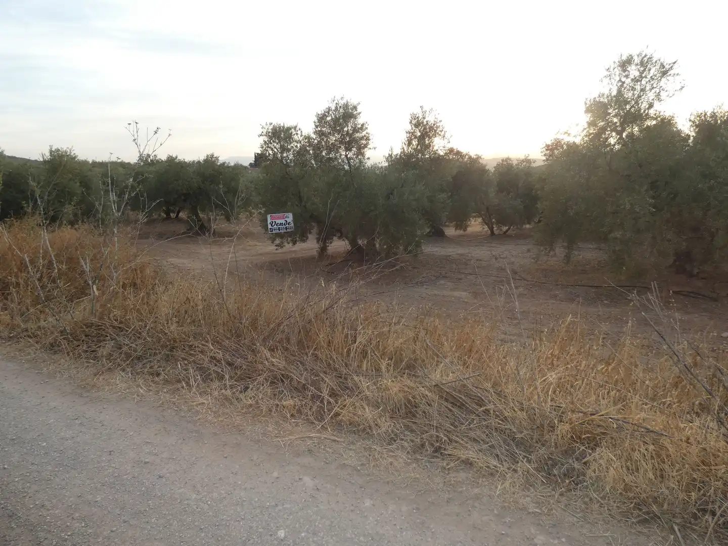 Terreni e lotti in vendita a Cogollos de la Vega, imagen 11