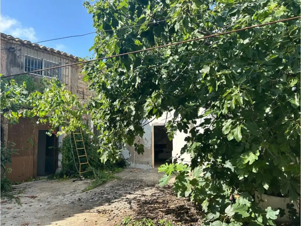 Finca rústica en venta en Altura