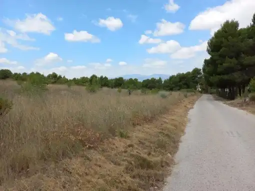 Grundstücke und Bauplätze zum Verkauf in PT SEUS-1 La Almoloya, imagen 8