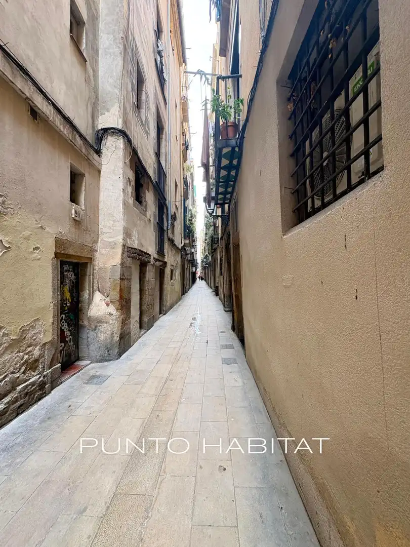 Wohnung mit Terrasse zum Verkauf in Carrer Carrer Blanqueria, imagen 42