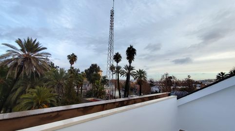 Photo 2 of Office for rent in Sector Sur - La Palmera - Reina Mercedes, Sevilla Capital