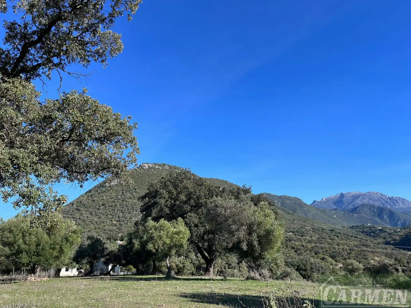 Vista exterior de Finca rústica en venda en El Bosque