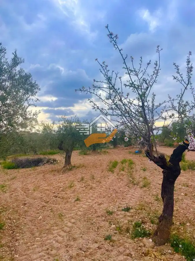 Residential land for sale in Vélez-Rubio, imagen 9
