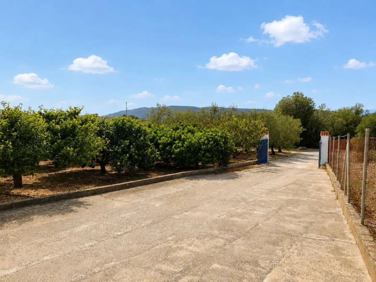 Country homes for sale in Freginals
