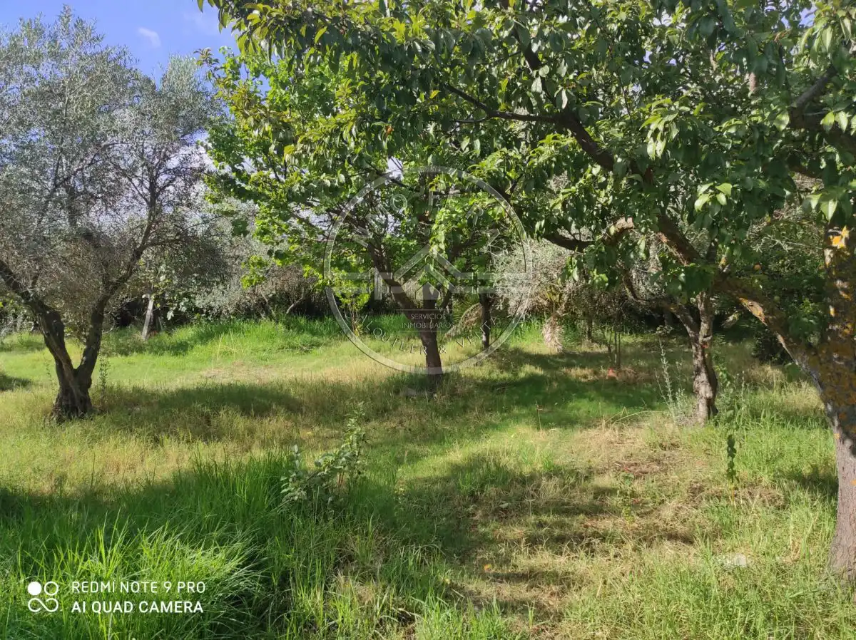 Villa avec piscine à vendre à Santaella, imagen 19