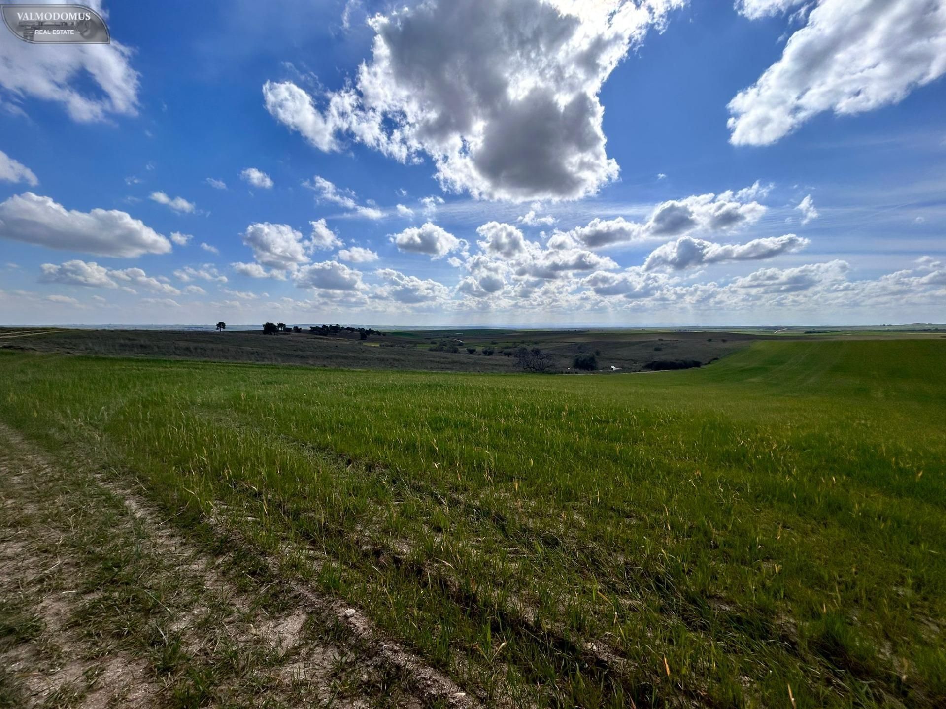 Land for sale in El Viso de San Juan