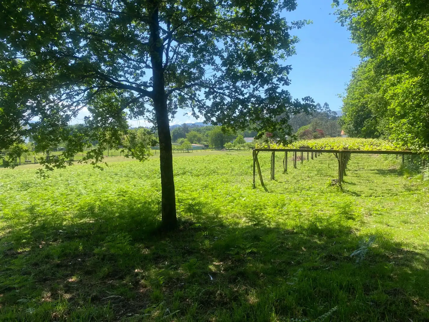 Casa o chalet en venta en A Estrada  con Calefacción