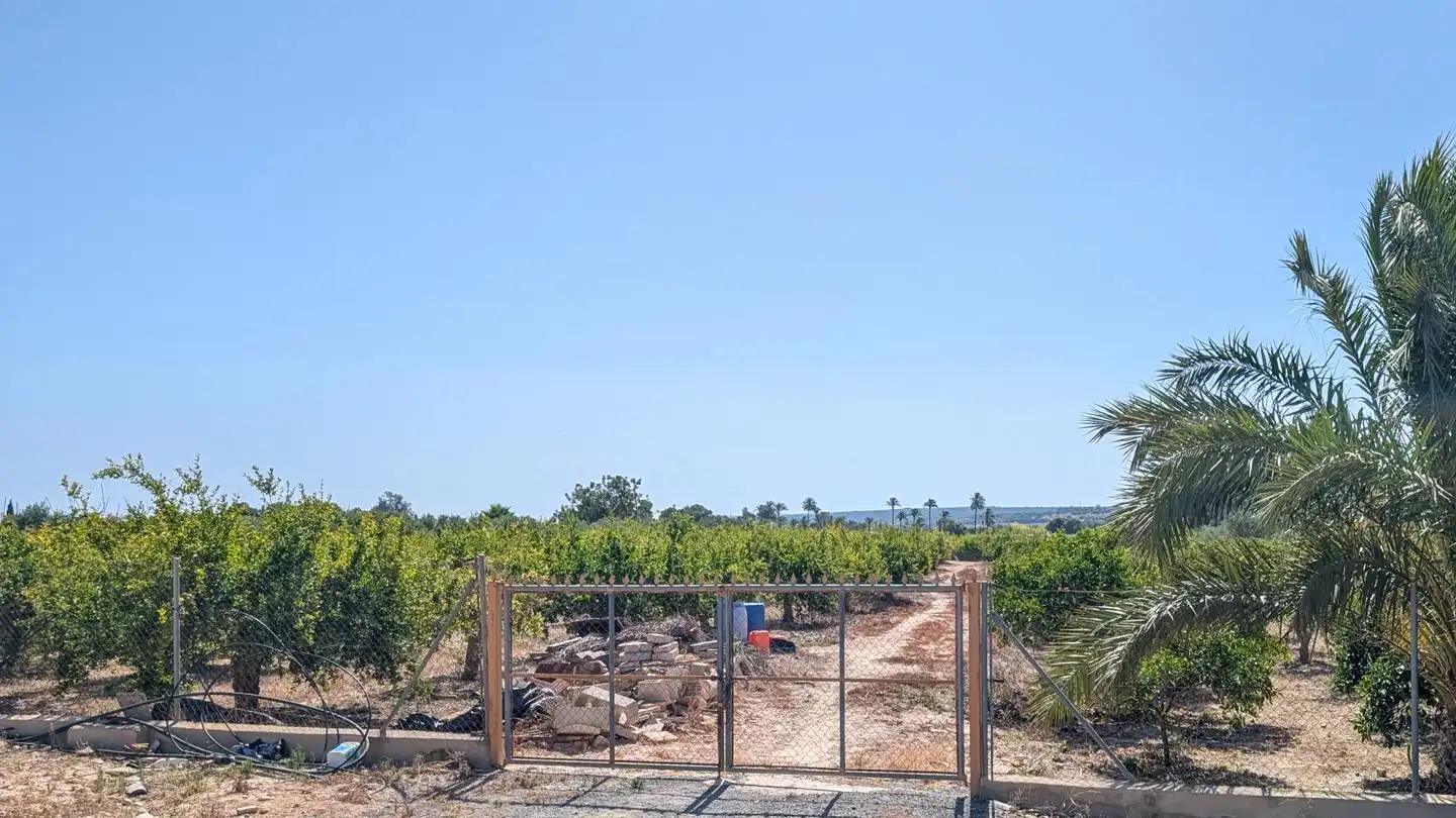 Casa o xalet en venda en Elche / Elx amb Aire condicionat, Jardí privat i Terrassa
