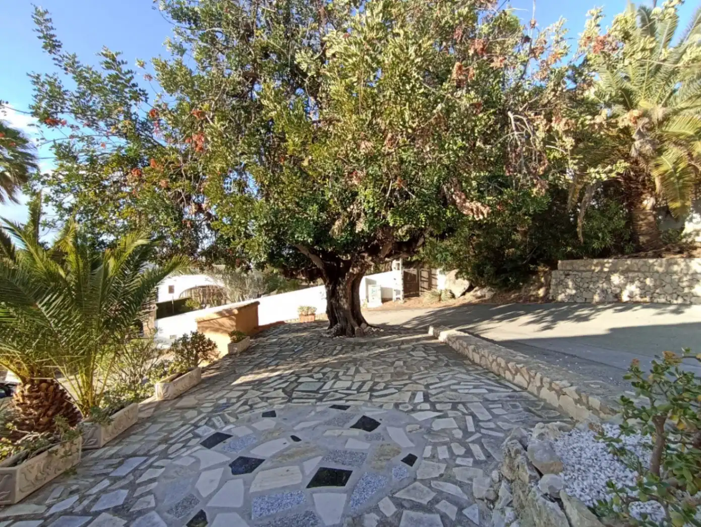 Houses for rent in Paichi