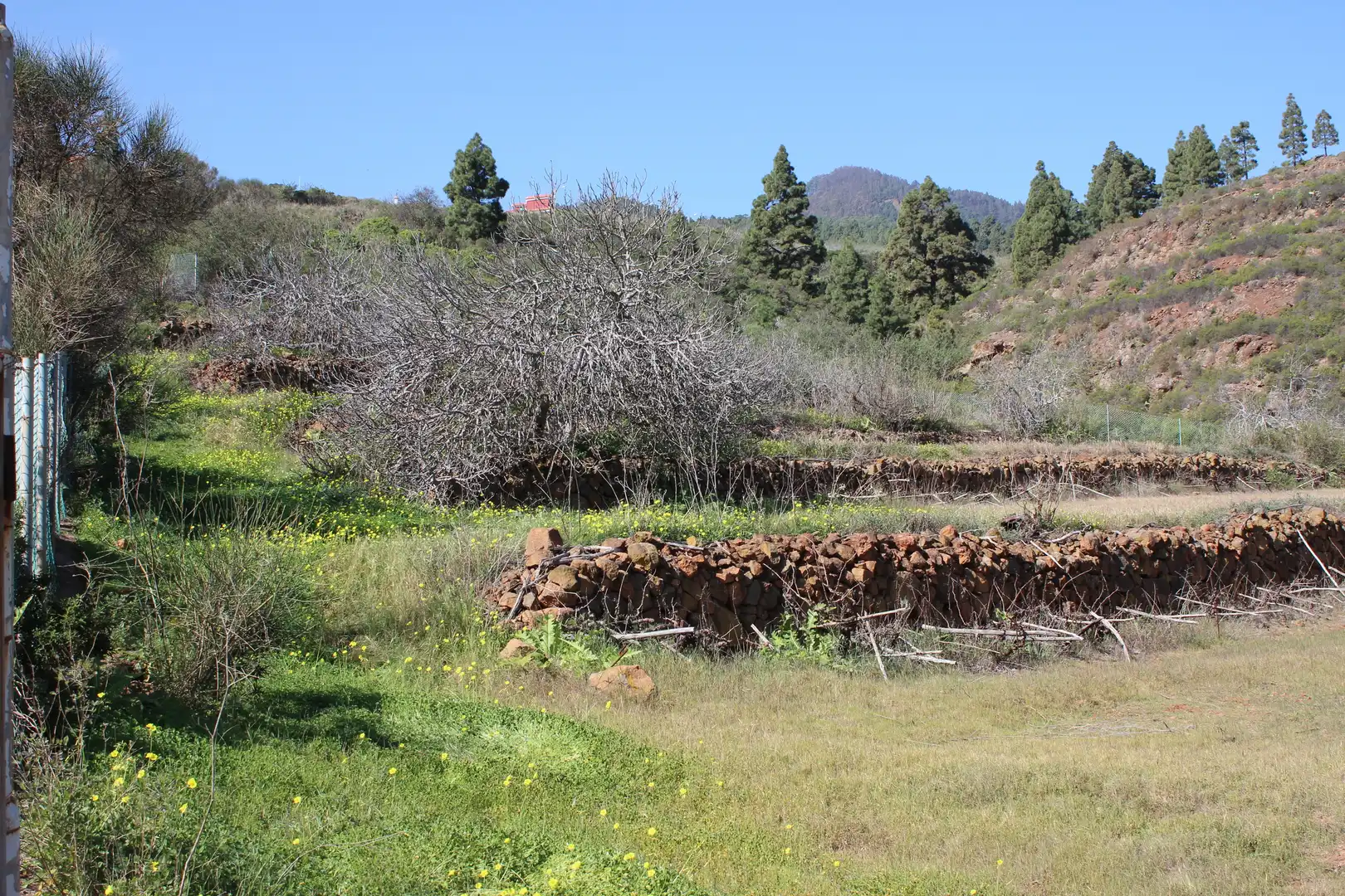 Rustikales Grundstück zum Verkauf in Machado - Las Barreras, imagen 19