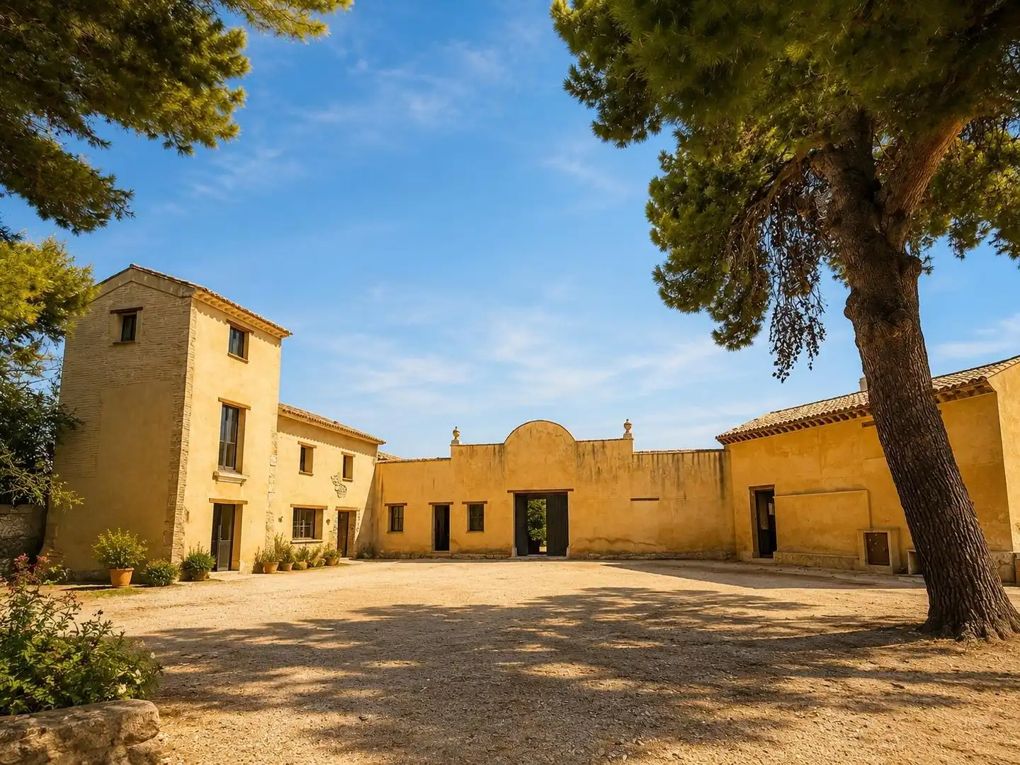 Vista exterior de Finca rústica en venta en Oliva