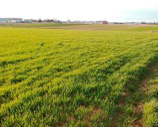 Land for sale in Villalpando