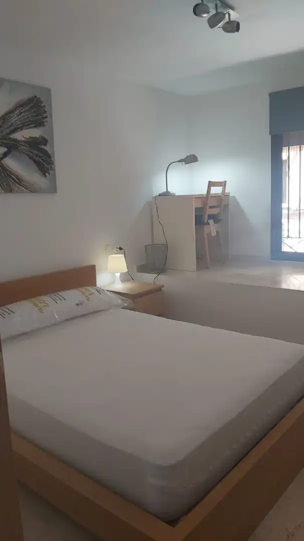 Mini appartamento in affitto a Calle Cardenal Mendoza, imagen 7