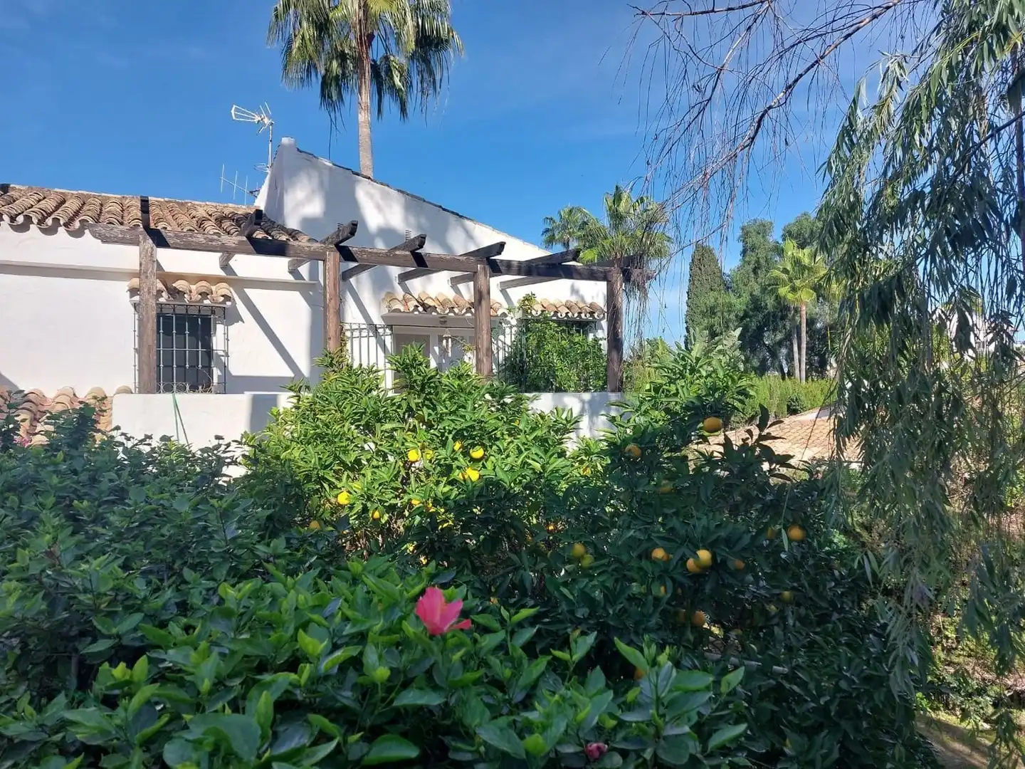 Casa amb terrassa en venda a Benamara - Atalaya, imagen 51