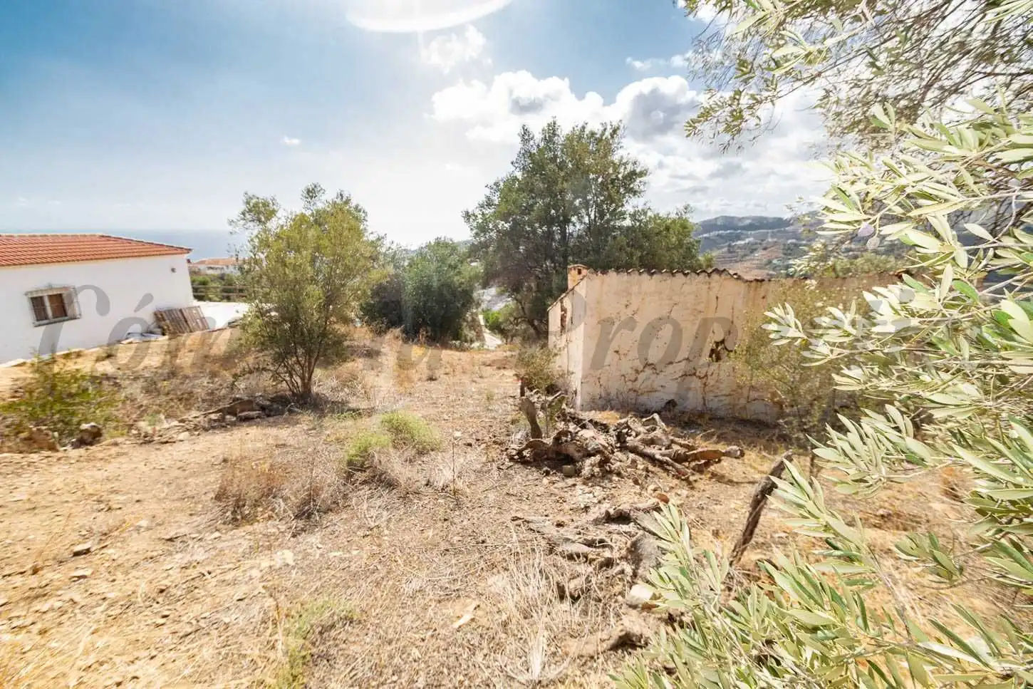 Terreno rústico en venta en Torrox Pueblo, imagen 5