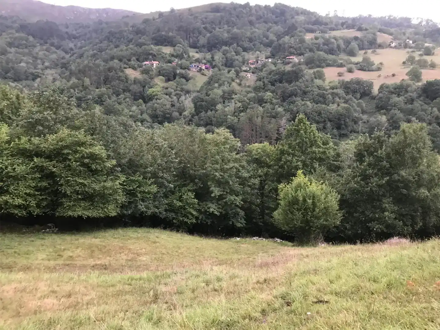Finca rústica en venda en Piloña