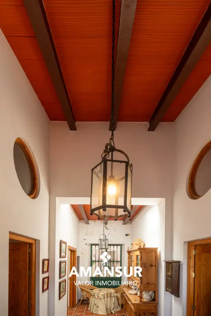 Maison rustique avec terrasse à vendre à Calle Alcalde Guillermo Pérez Gómez, imagen 44