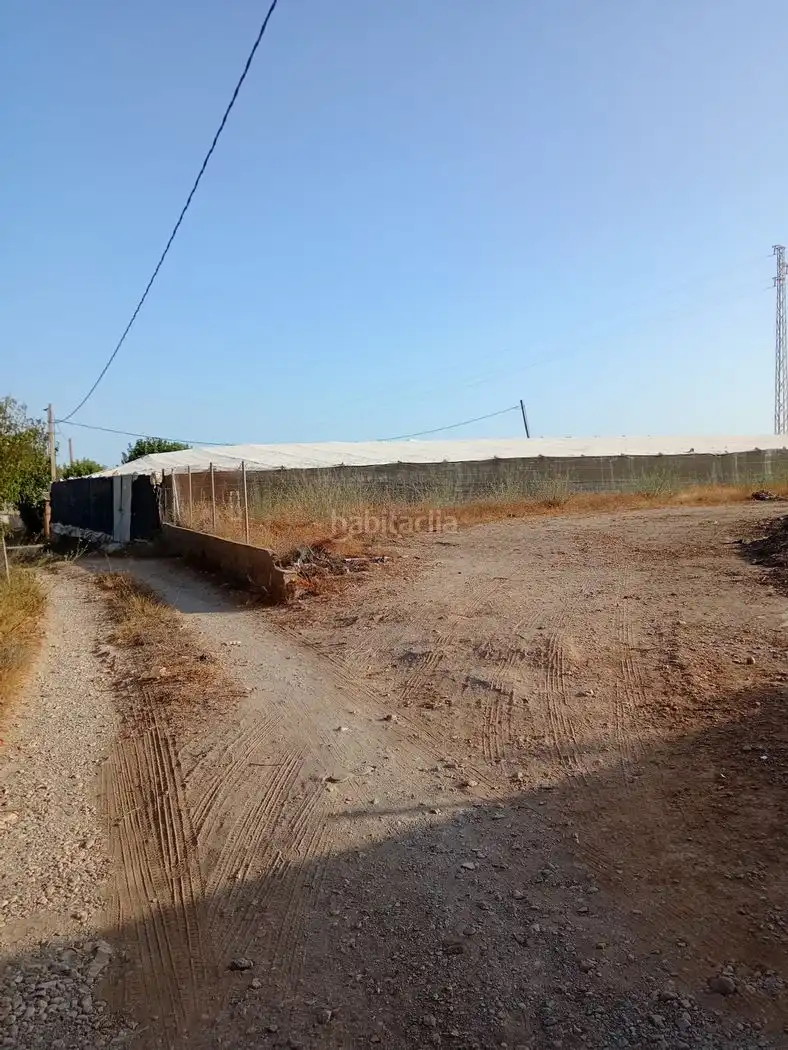 Rural land for sale in Calle Maimónides 137, imagen 4