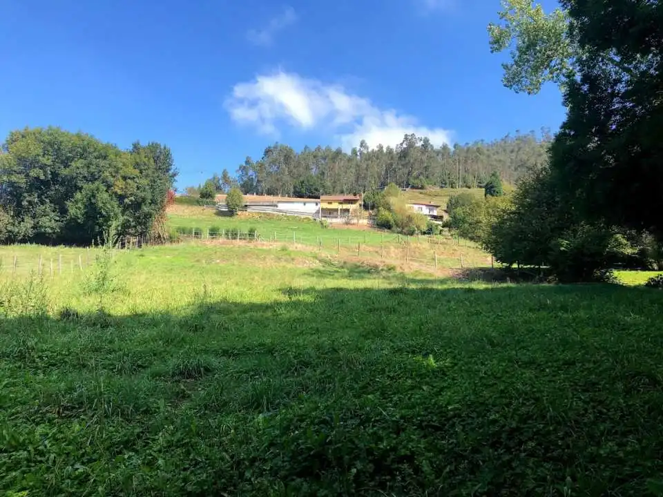 Grundstücke und Bauplätze zum Verkauf in Llanera, imagen 2