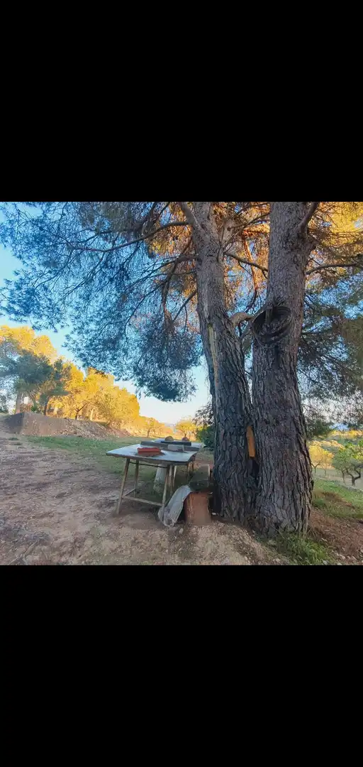 Casa en venta en Móra d'Ebre, imagen 3