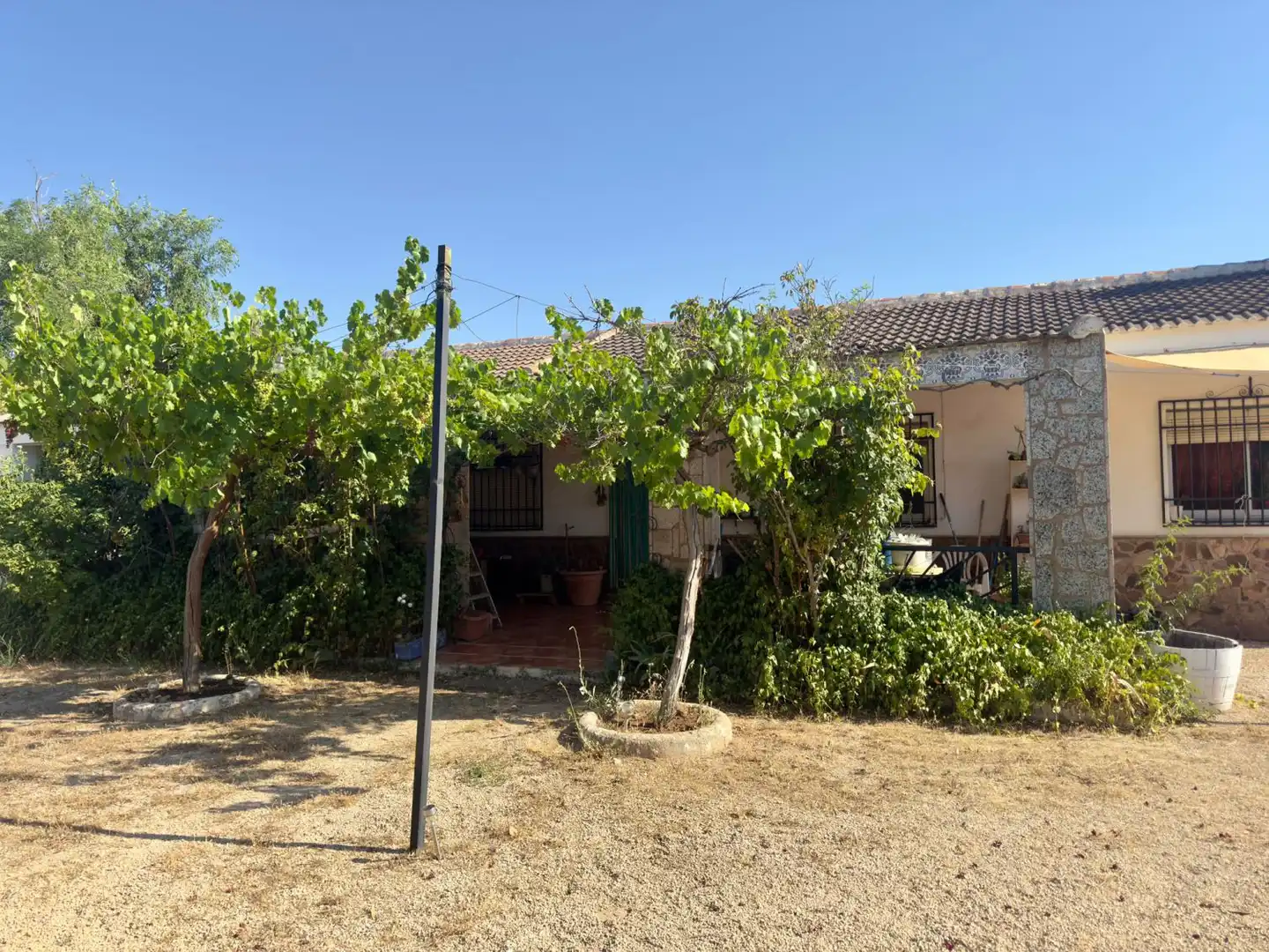 Casa rústica en venda a Valdepeñas, imagen 49