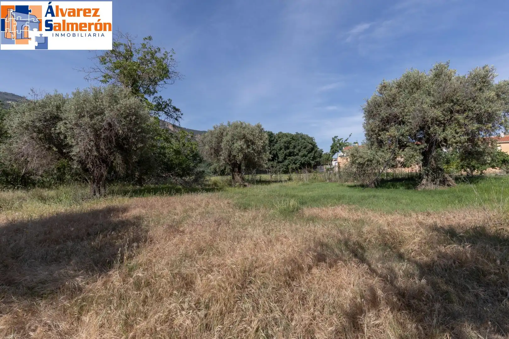Lands and plots for sale in Carretera de Maitena, imagen 10