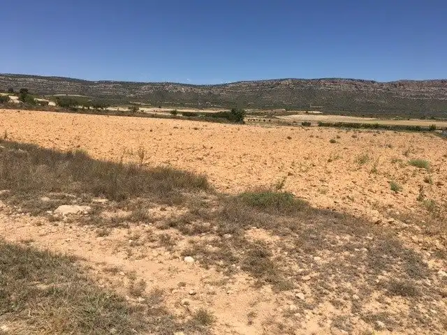 Terrain rustique à vendre à Almansa, imagen 2