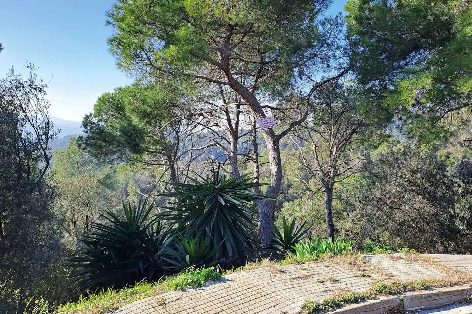 Lands and plots for sale in CANIGO, imagen 19