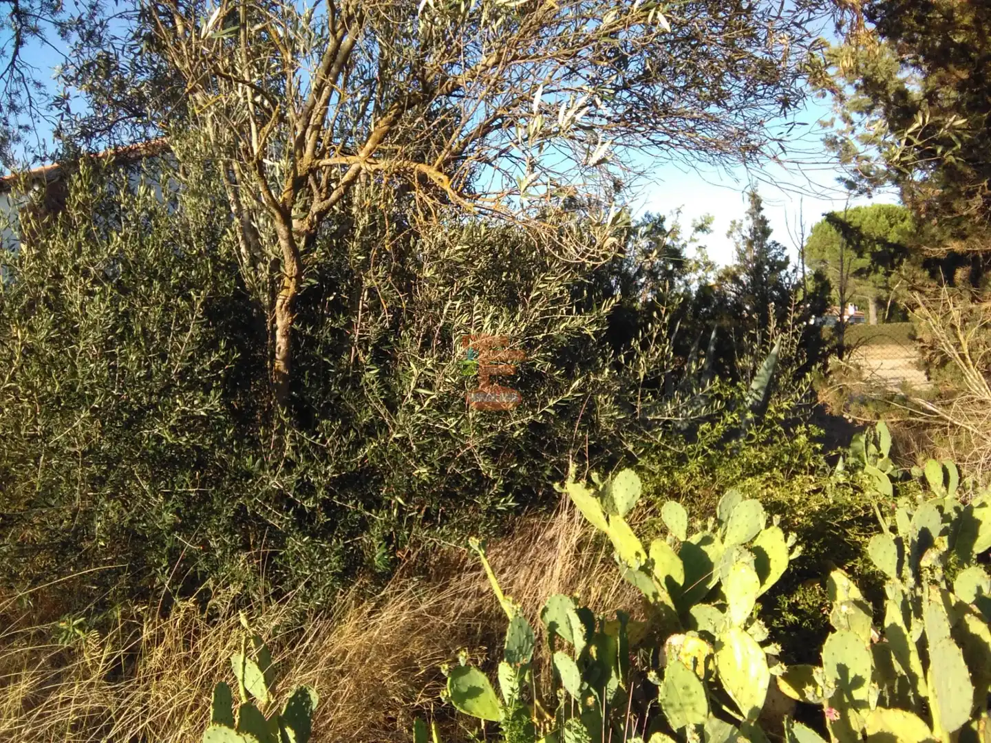 Terreno en venta en Zaragoza