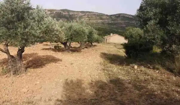 Rural land for sale in Partida Sacaras, imagen 10