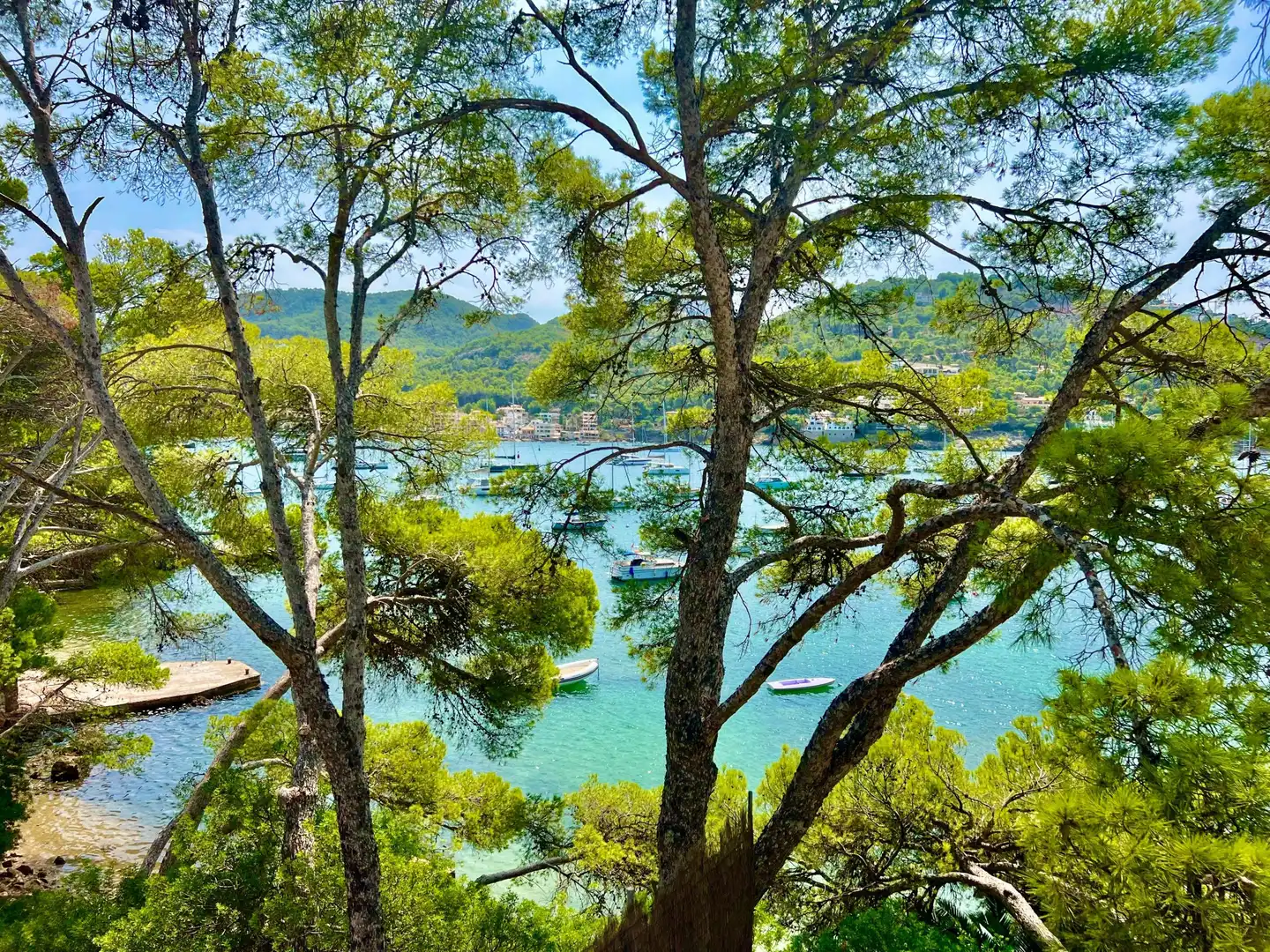 Apartamento de alquiler en Port d'Andratx