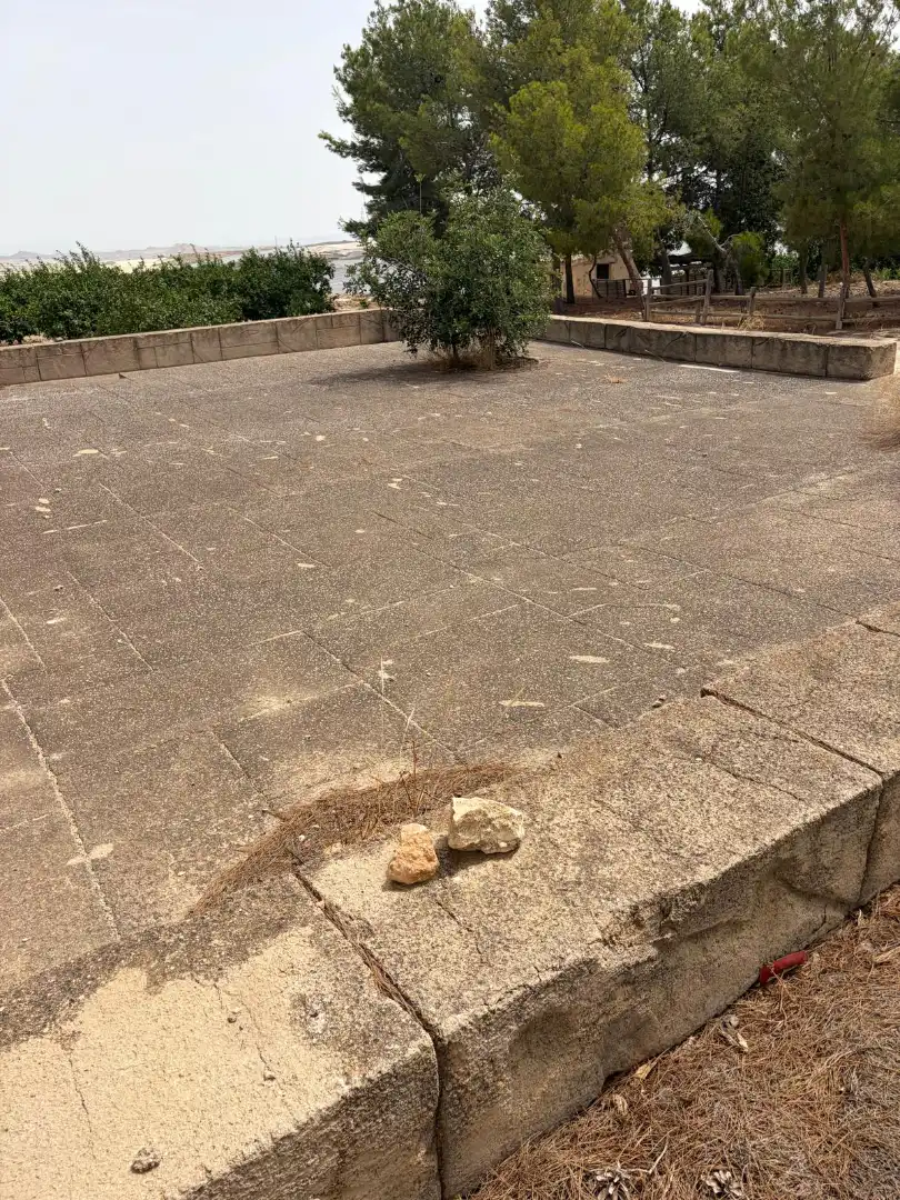 Lands and plots for sale in Mula, imagen 14