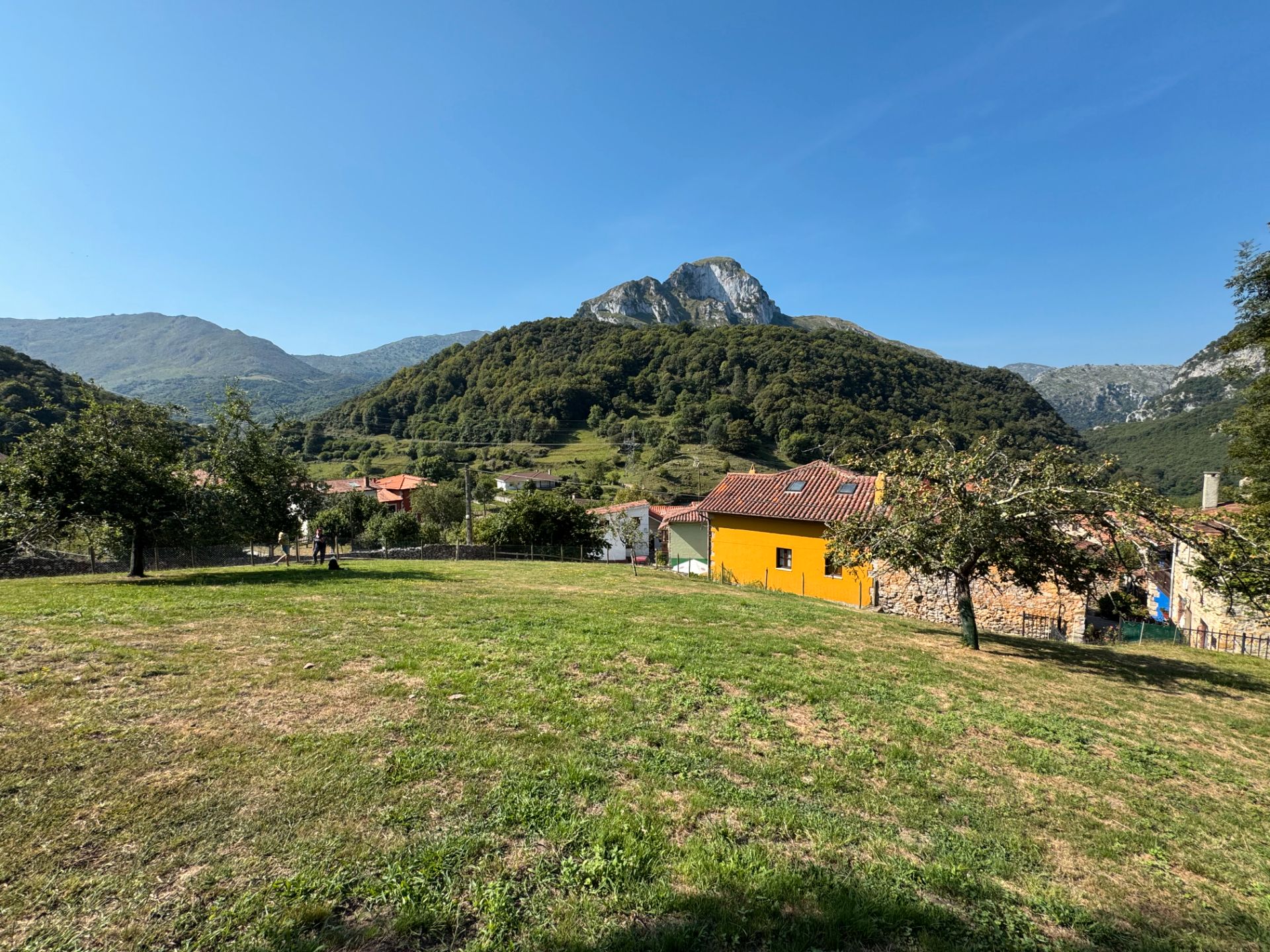 Residential zum verkauf in Peñamellera Alta