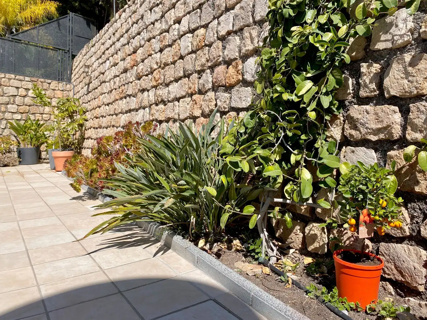 Haus mit Pool zum Verkauf in almendros, imagen 16