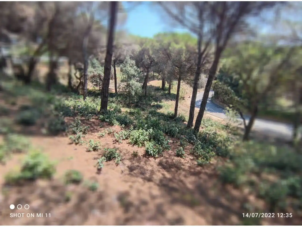 Terreno residencial en venta en Calle Tortuga 21, imagen 8