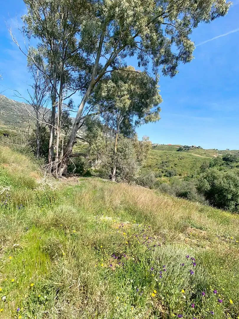 Terreni e lotti in vendita a Urbanización Pueblo Valtocado, 29650 Mijas, Málaga, Spain, imagen 10