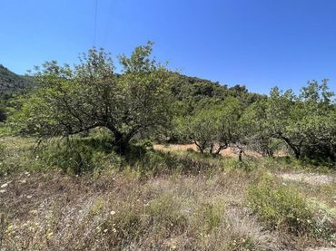 Terreno rústico en venta en Borriol