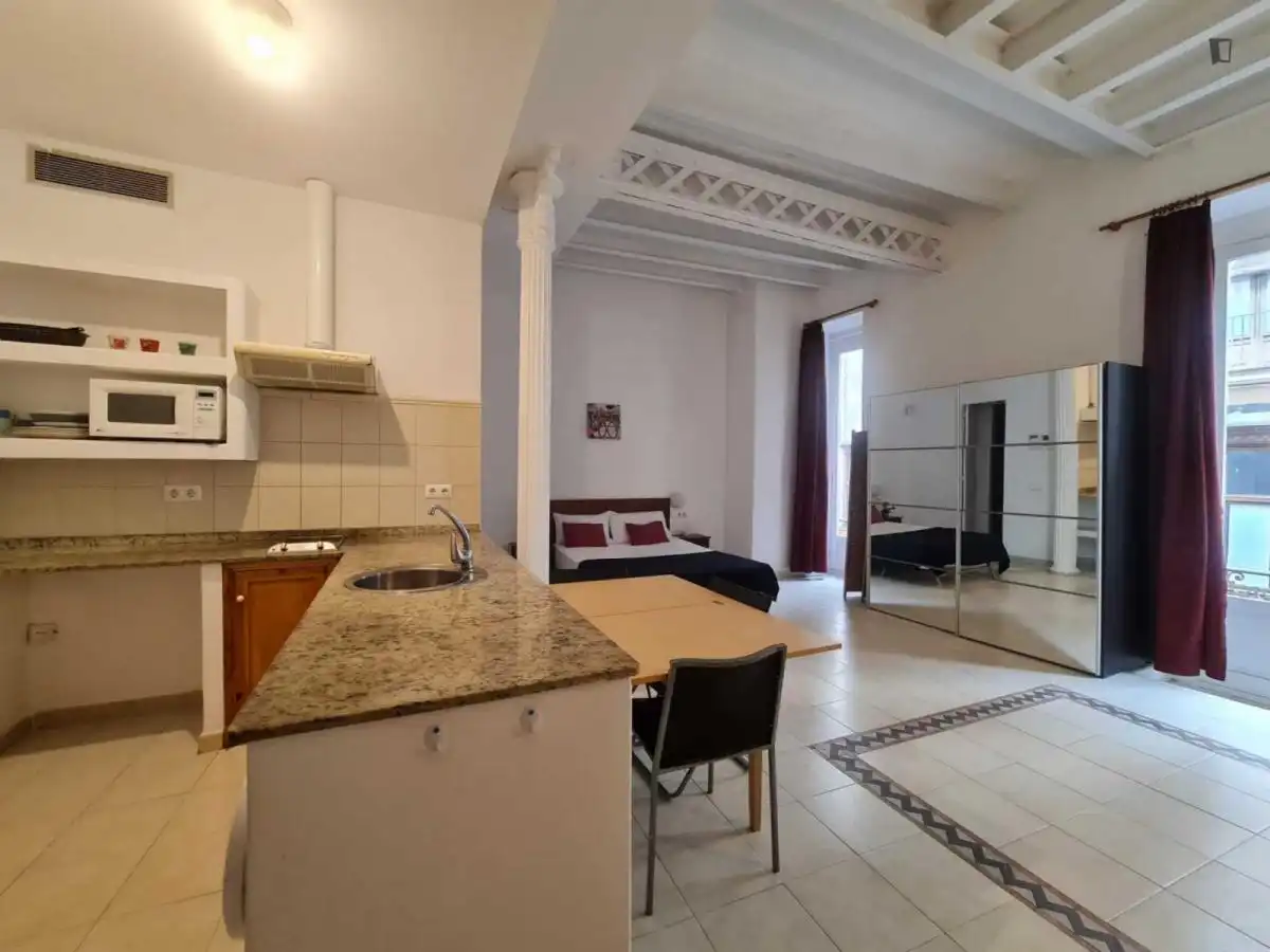 Study for rent in El Raval