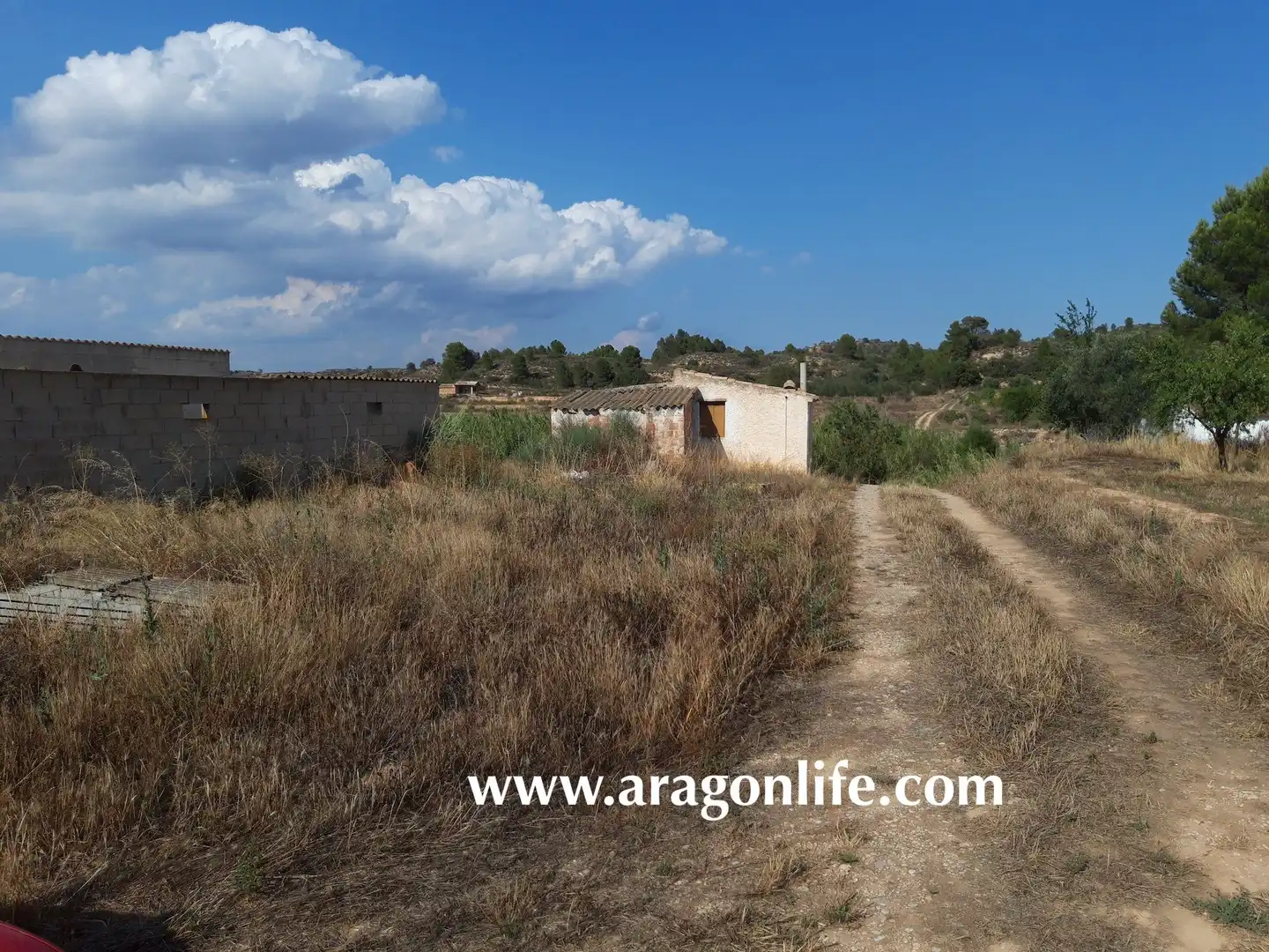 Terreni e lotti in vendita a Fabara