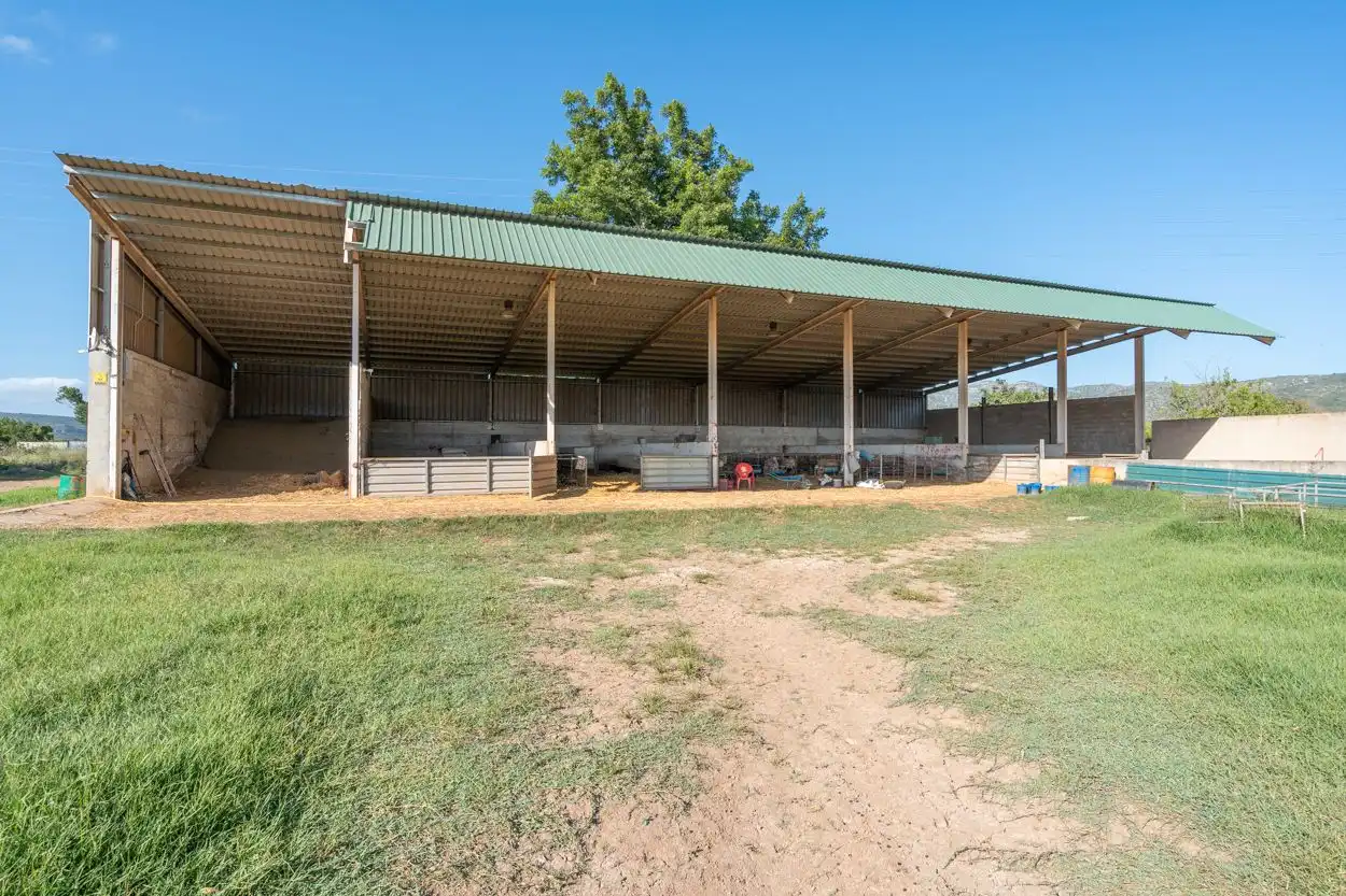 Rural land for sale in Ulldecona, imagen 25