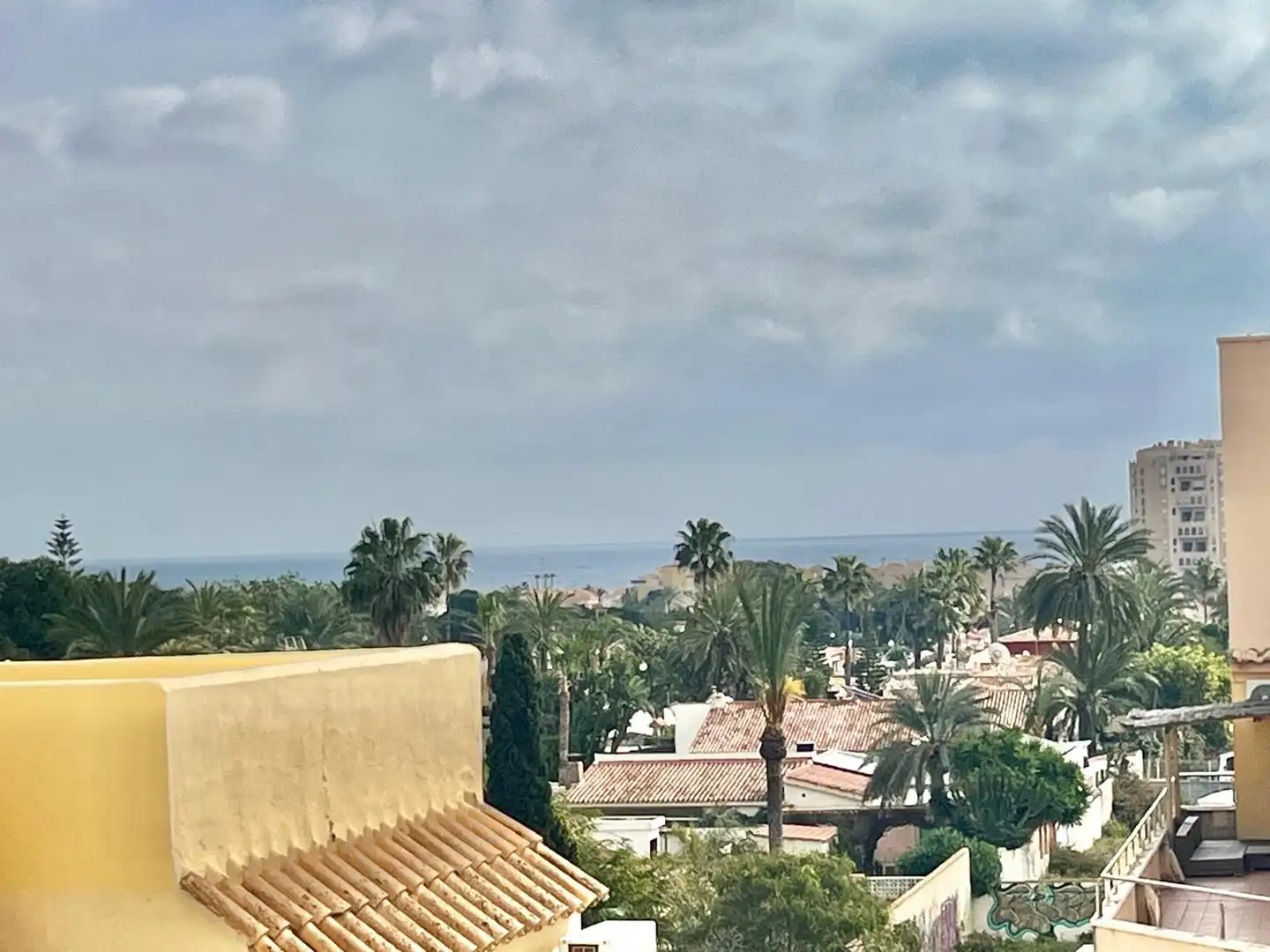 Vista exterior de Estudio en venta en Torrevieja con Balcón y Piscina comunitaria