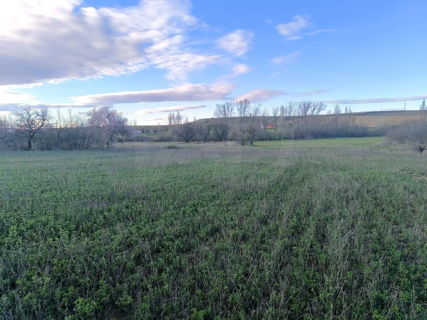 Terreno en venta en Pajares de los Oteros
