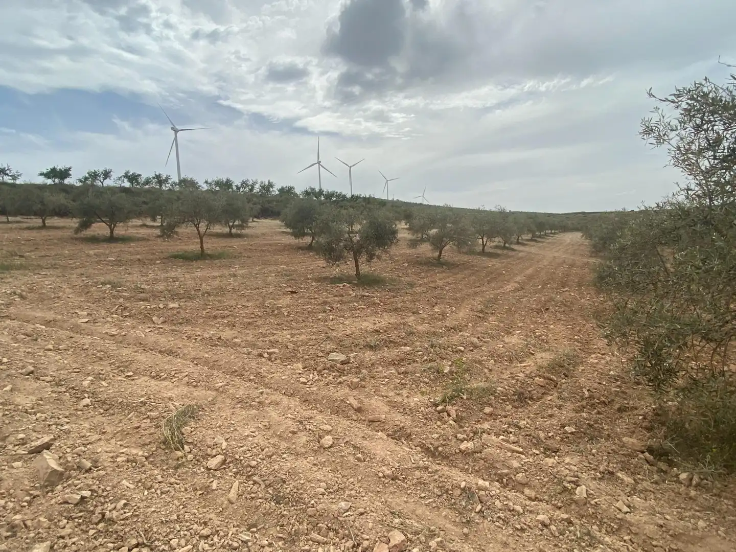 Terrain rustique à vendre à Polígono Polígono 16 Parcela 646 CAÑADA DE ZALDIVAR. PADU, imagen 8