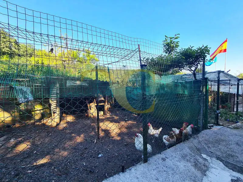Jardí de Casa o xalet en venda en Oviedo  amb Calefacció, Jardí privat i Terrassa
