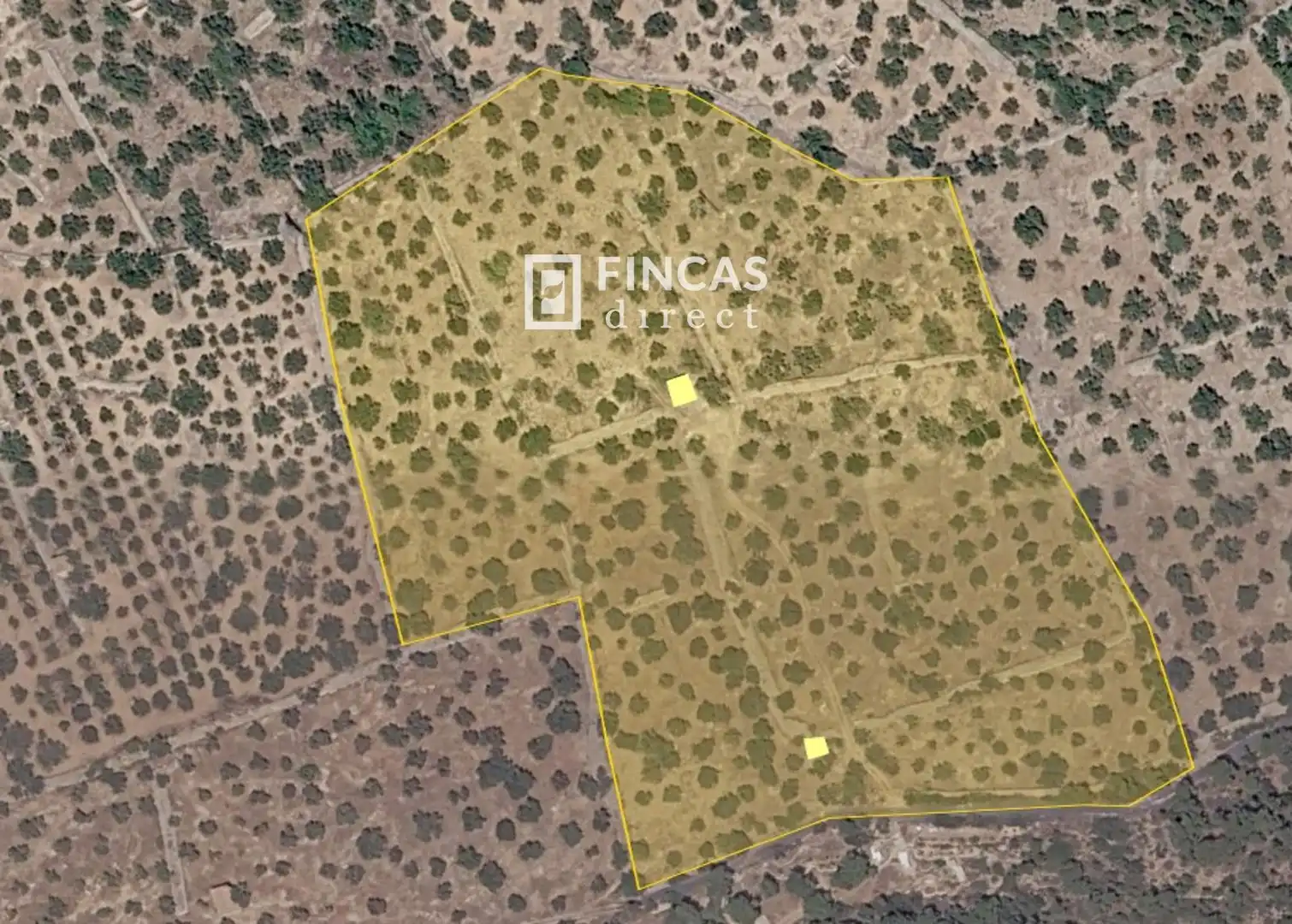 Country homes for sale in Xerta