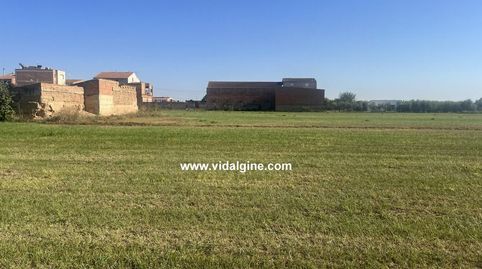 FINCA RÚSTICA A TÉRMENS., imatge 4