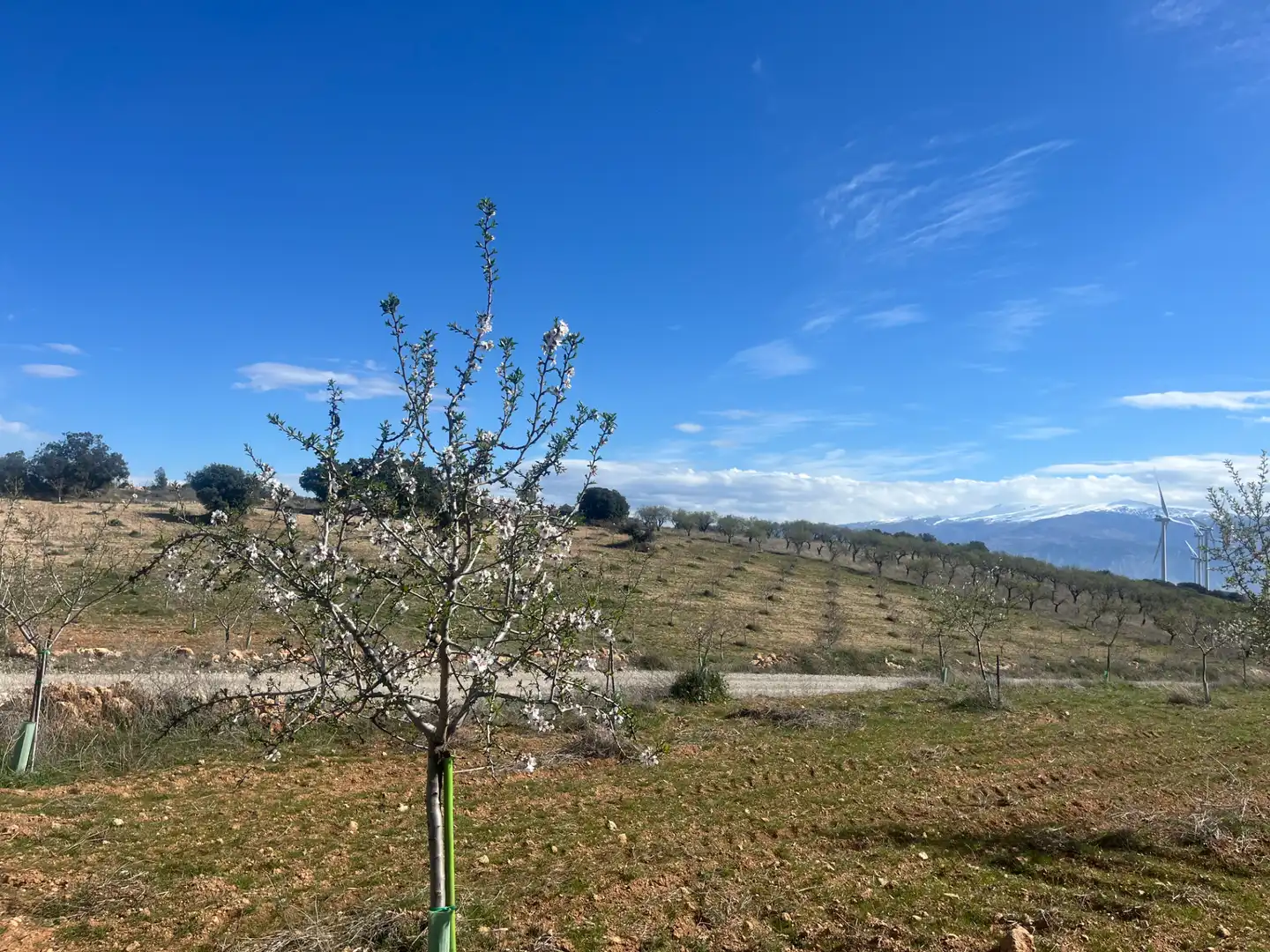 Rustikales Grundstück zum Verkauf in Camino de la Sierra, imagen 25
